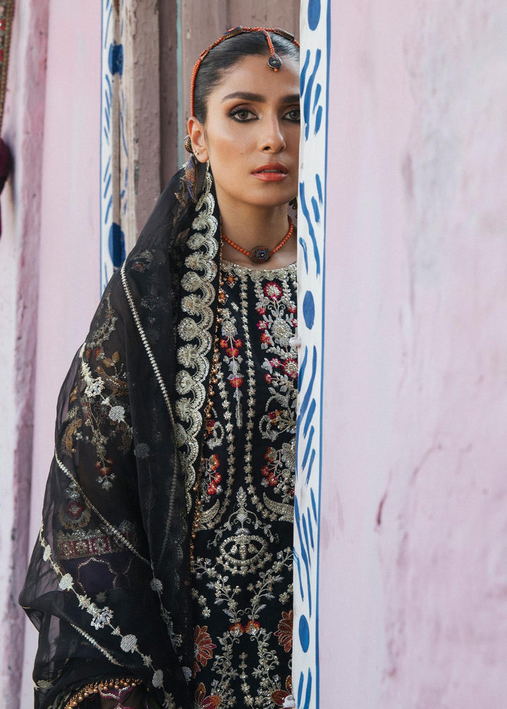 Jungli Kabootar