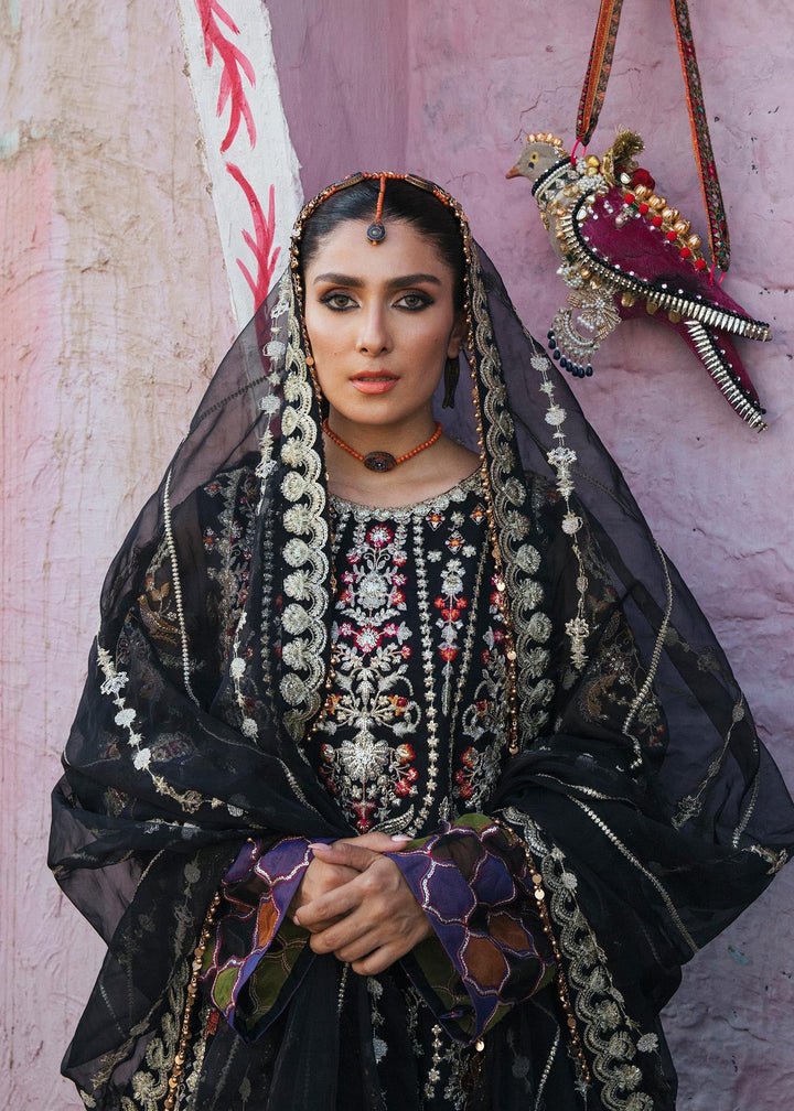 Jungli Kabootar