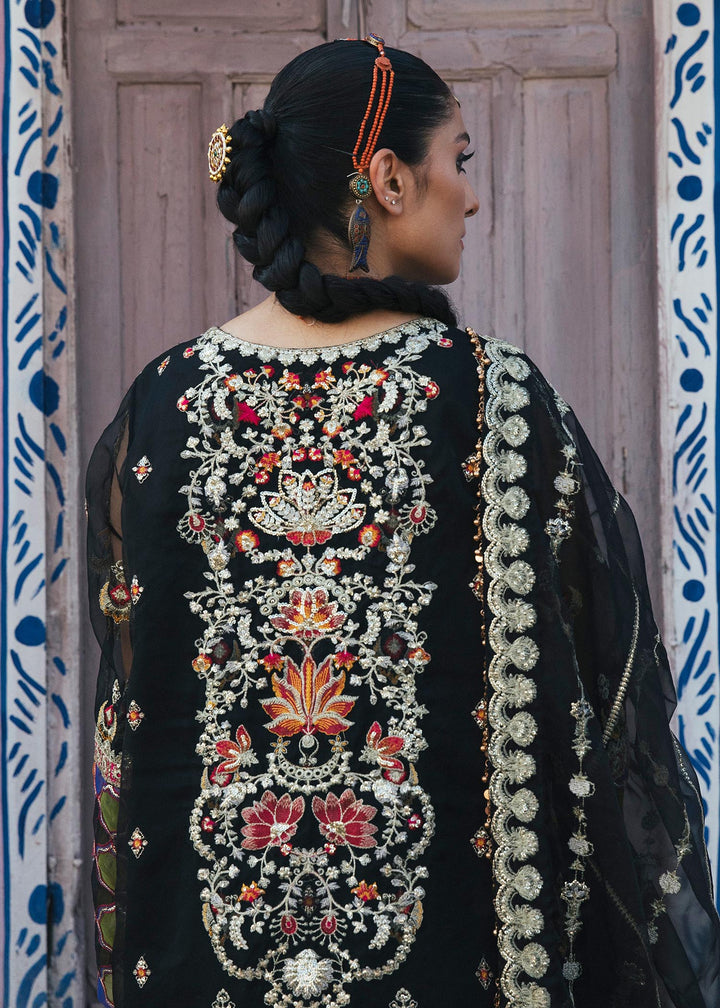 Jungli Kabootar