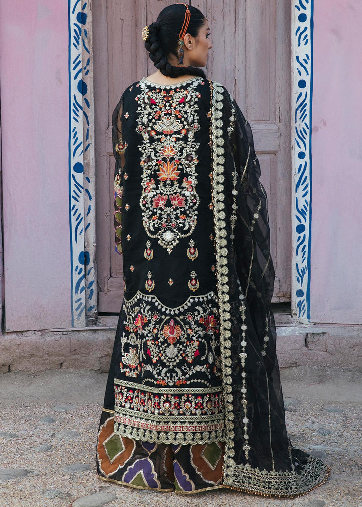 Jungli Kabootar