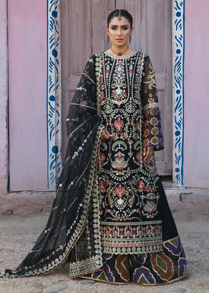Jungli Kabootar