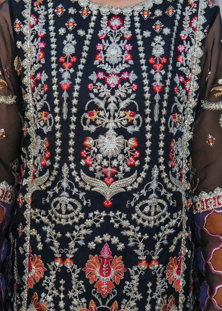 Jungli Kabootar