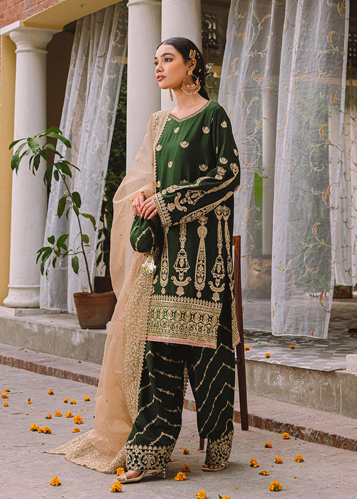 Bijli - A