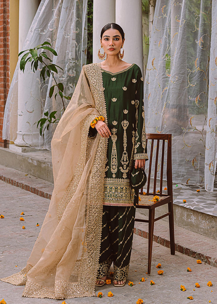 Bijli - A