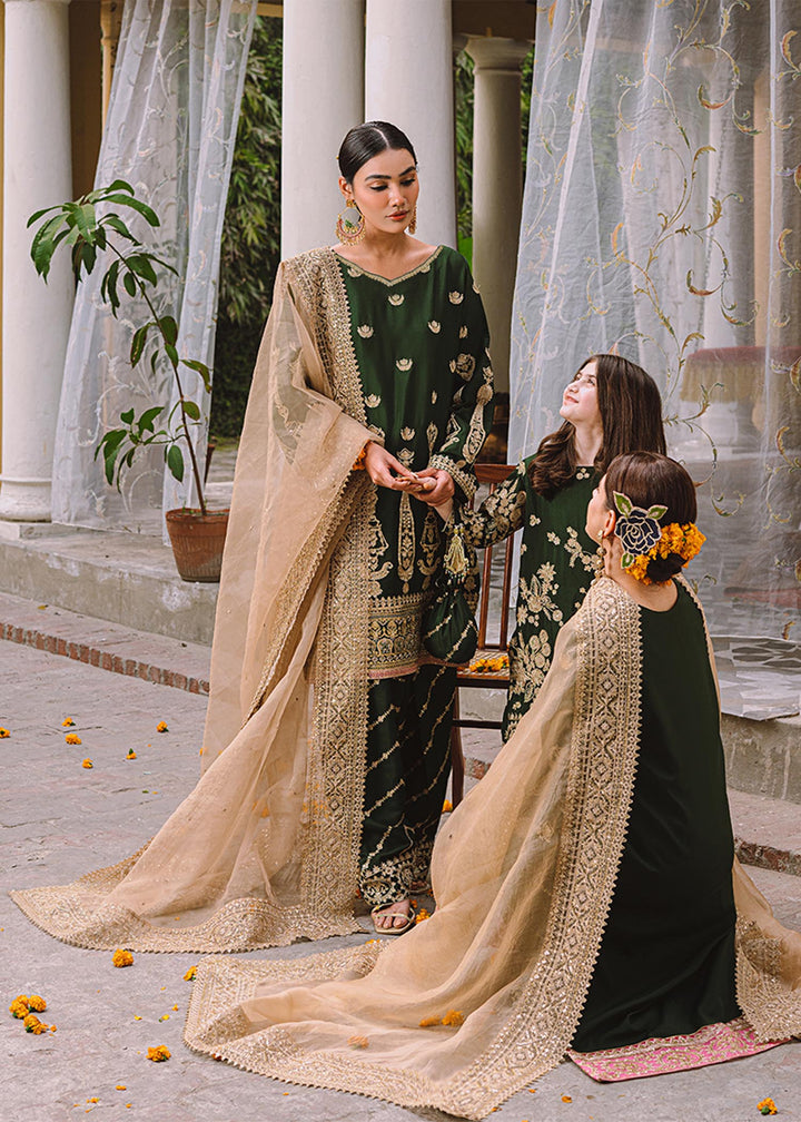 Bijli - A