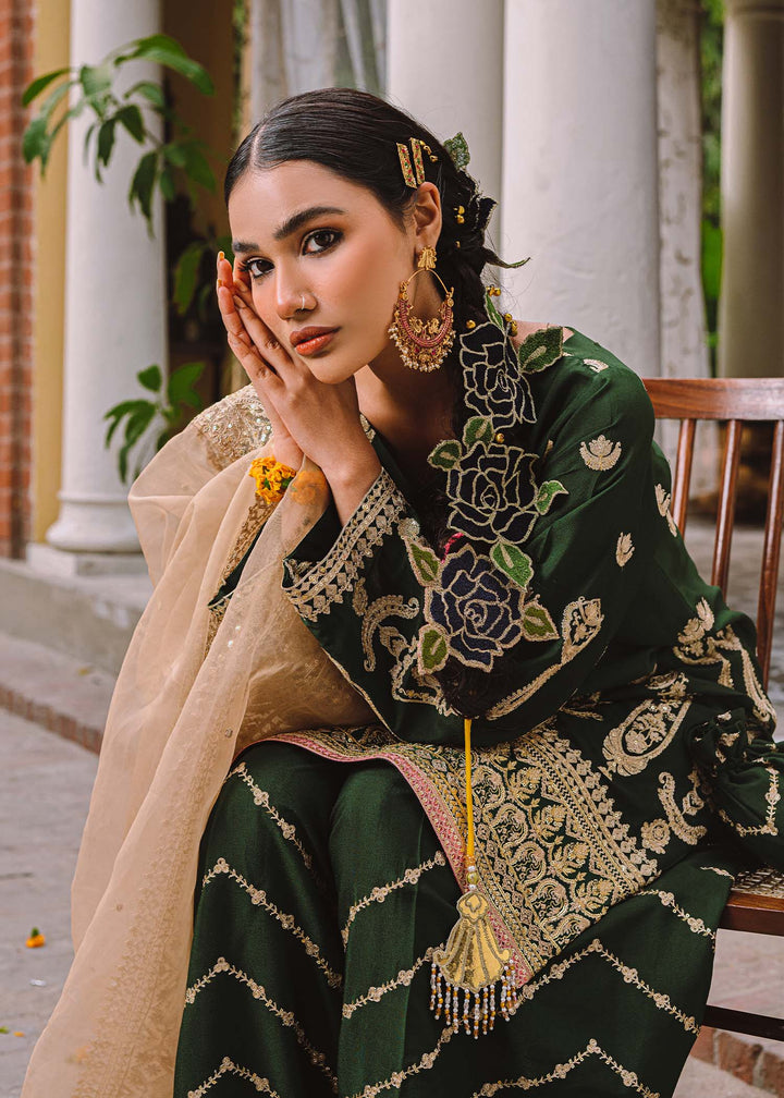 Bijli - B