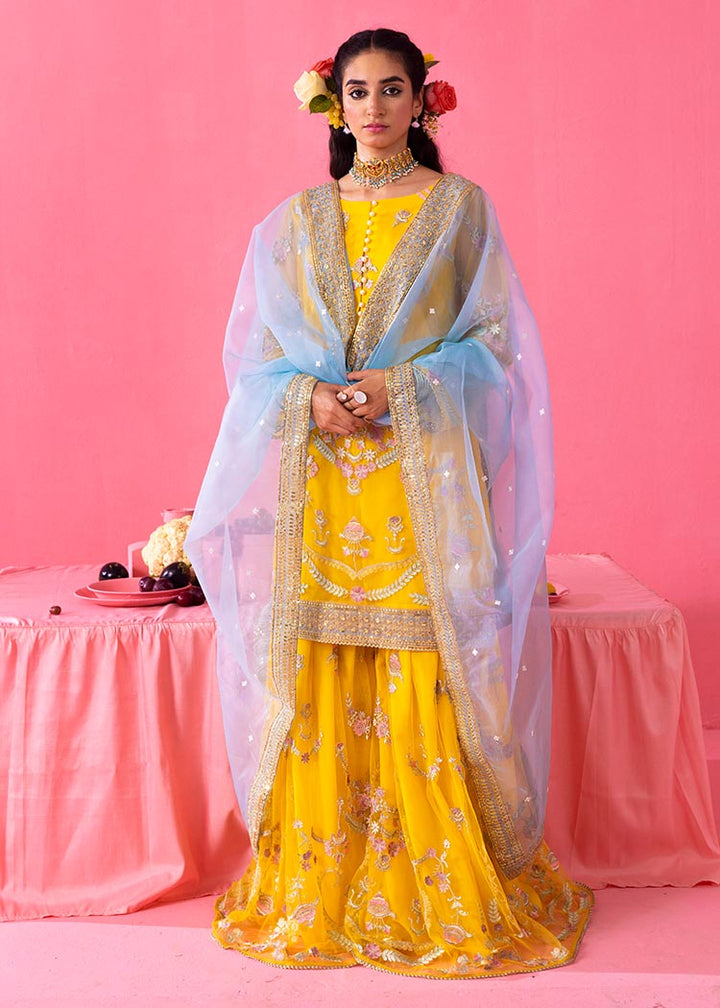 Dhoop