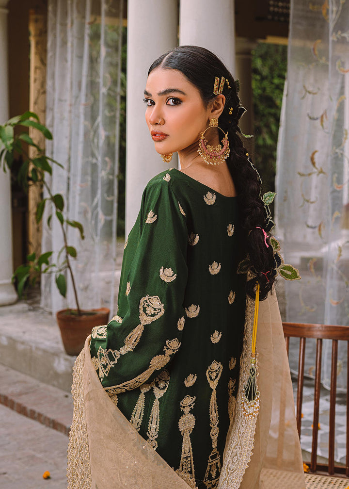 Bijli - A