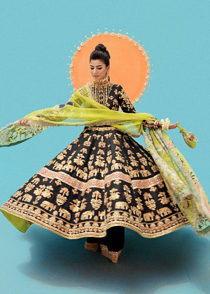 Koel
