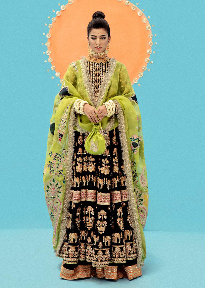 Koel