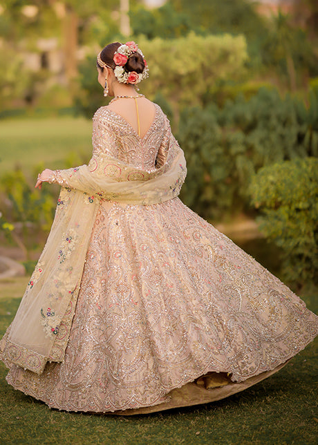 Laraib Rahim