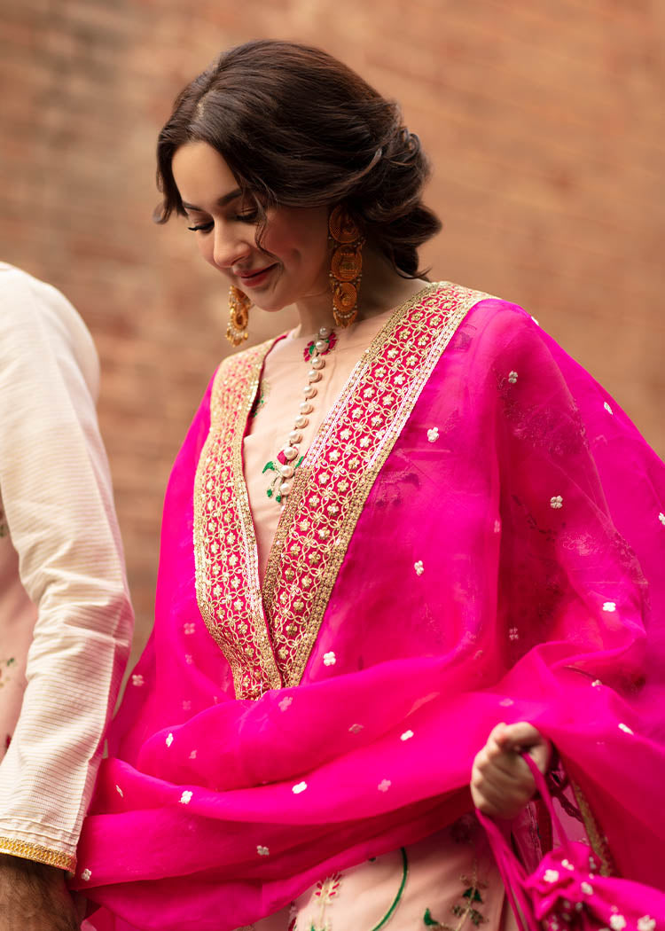 Gul